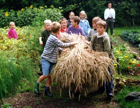 00-00099-09 Garten Kohlsklasse1
