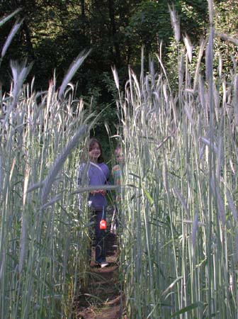 02-05-30gartenziegeln06
