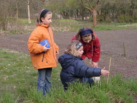 02-04-11schulegarten 085