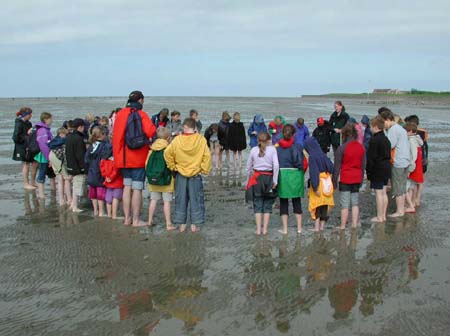 03-05-21neuwerk-mittwoch031